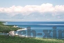 大象视频打不开了-大象视频无法访问的背后，技术挑战与用户困扰